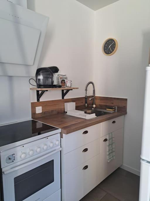 Studio Dans Maison Avec Jardin Et Balcon, Au Calme Sérézin-du-Rhône Exterior foto